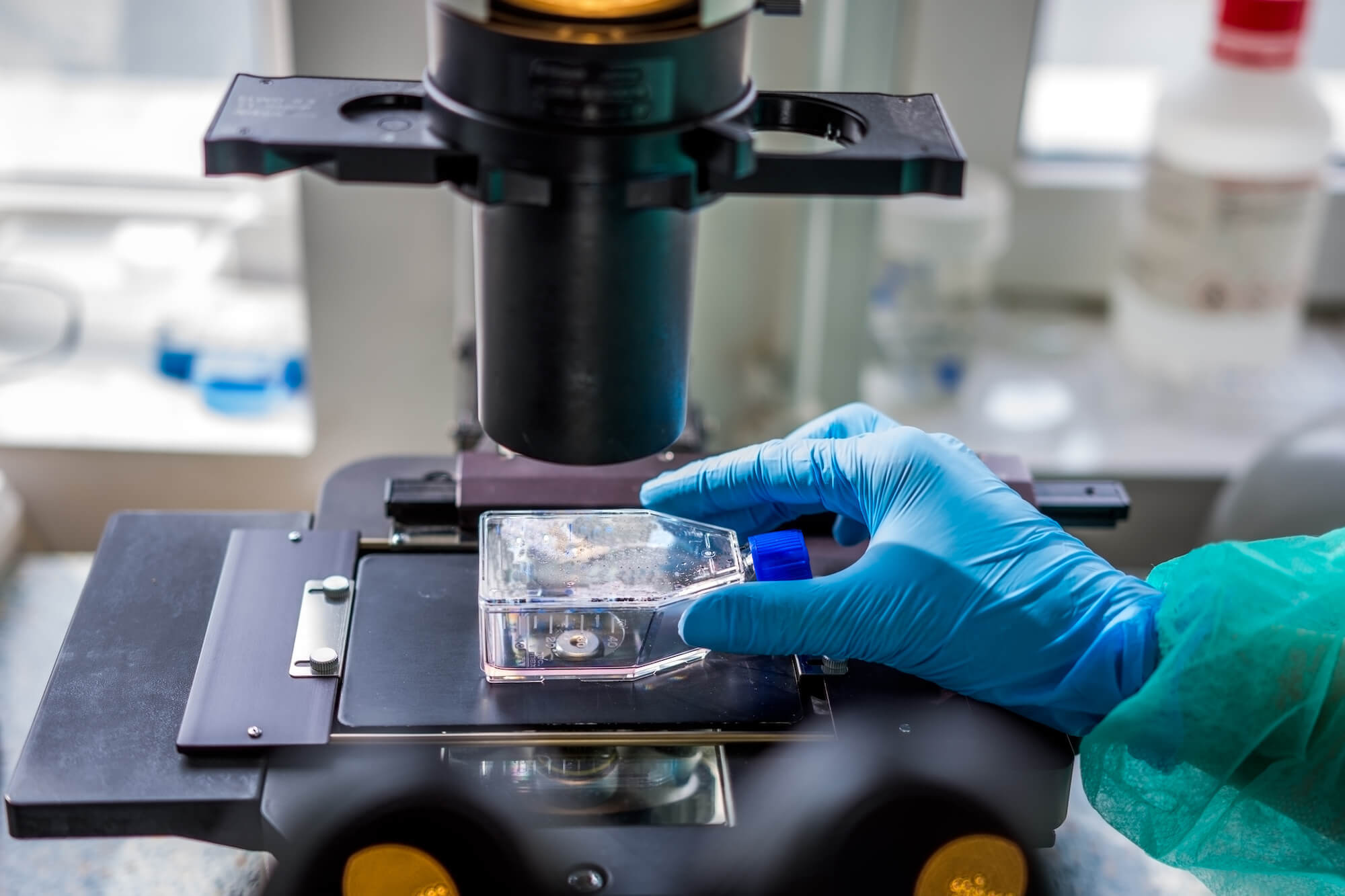 COP container being used under a microscope to perform diagnostics