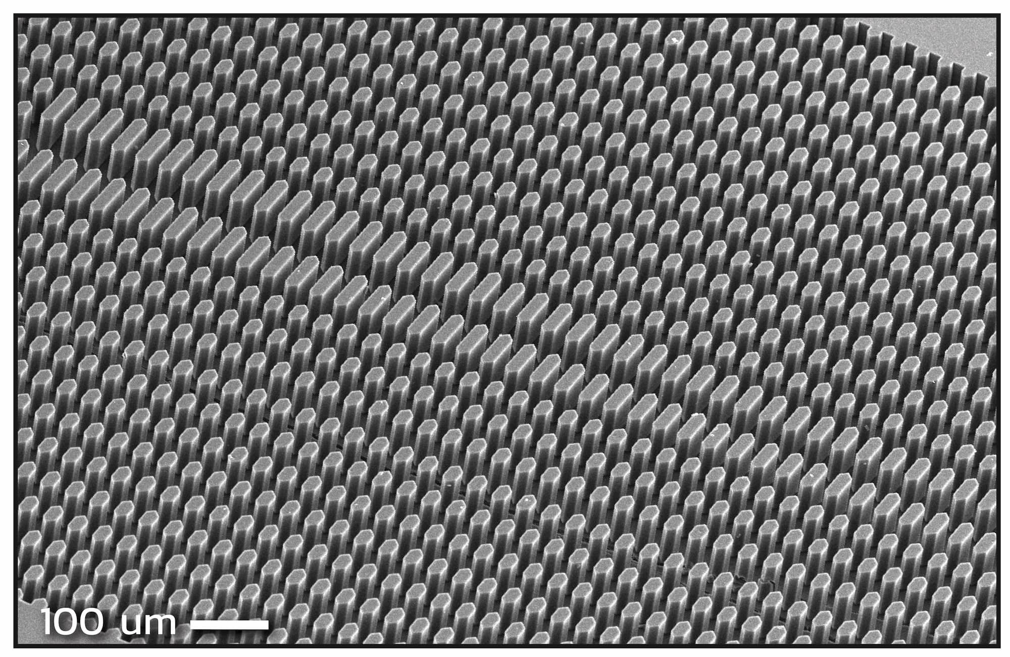 A close-up image of microfluidics diganostics