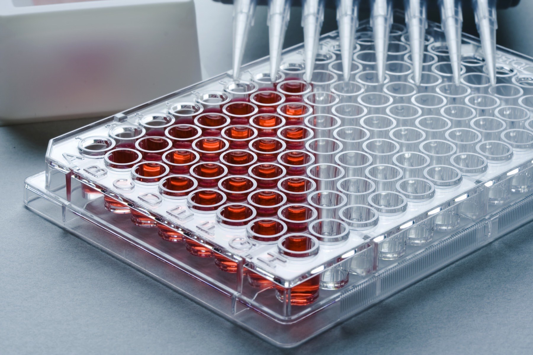 Red Liquid being placed into a microplate for testing